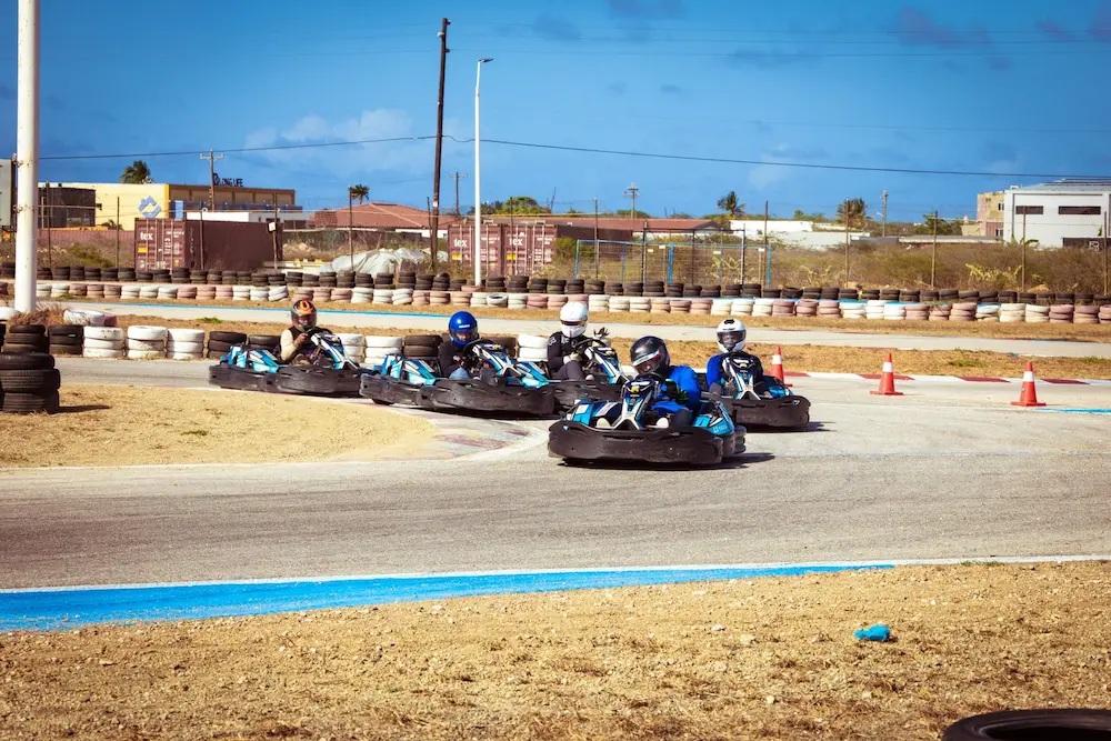 bushirikartingspeedway