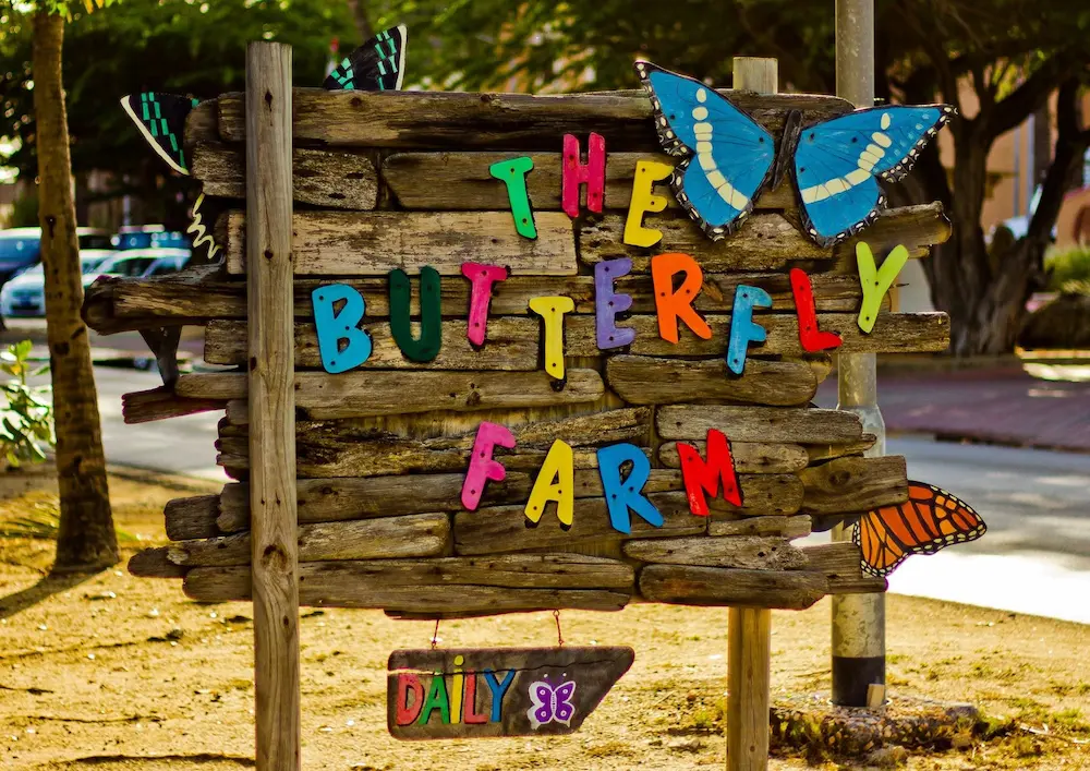 butterflyfarm
